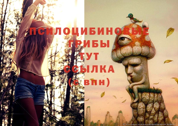 apvp Нефтегорск