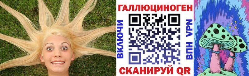 купить   Пыталово  Псилоцибиновые грибы Psilocybe 